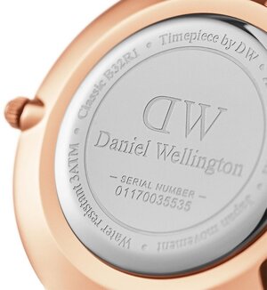 Часы Daniel Wellington Petite Ashfield DW00100245