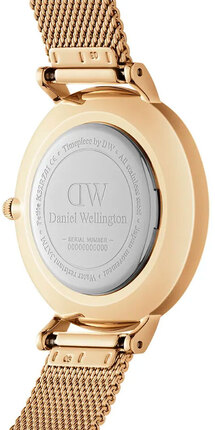 Часы Daniel Wellington Petite Evergold DW00100345