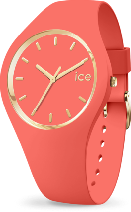 Часы Ice-Watch 017058