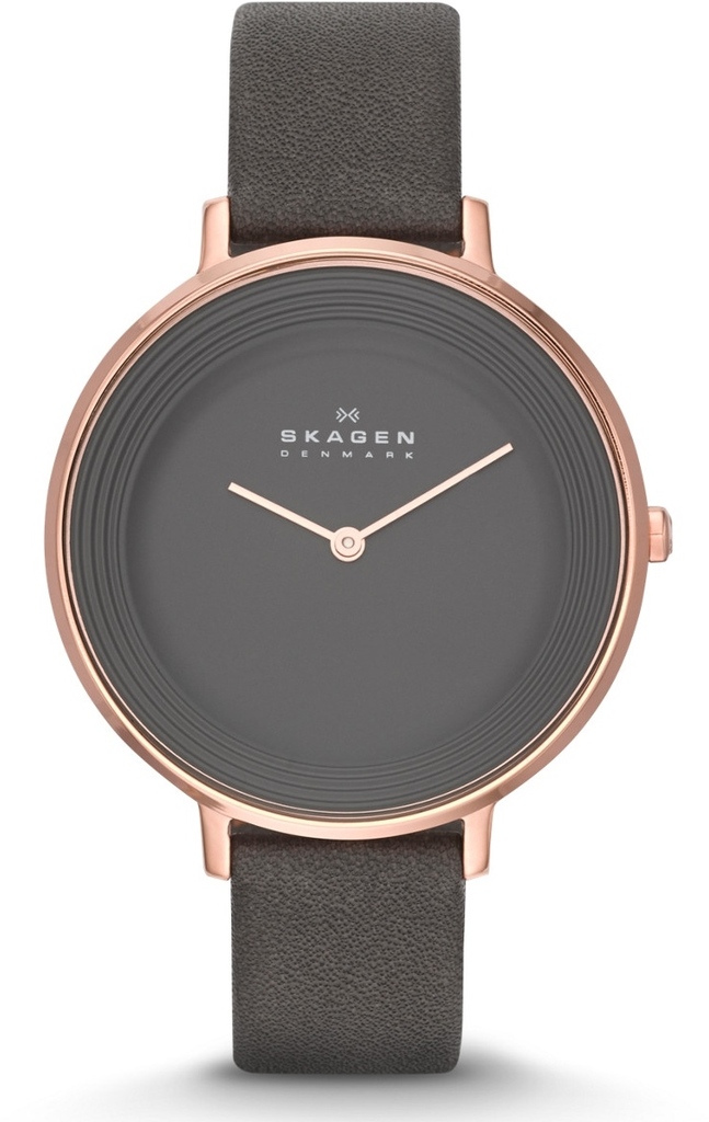

Часы SKAGEN SKW2216, SKW2216