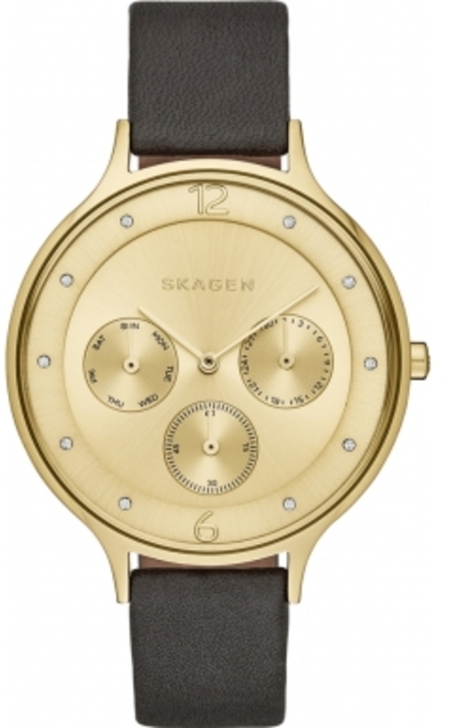 

Часы SKAGEN SKW2393, SKW2393