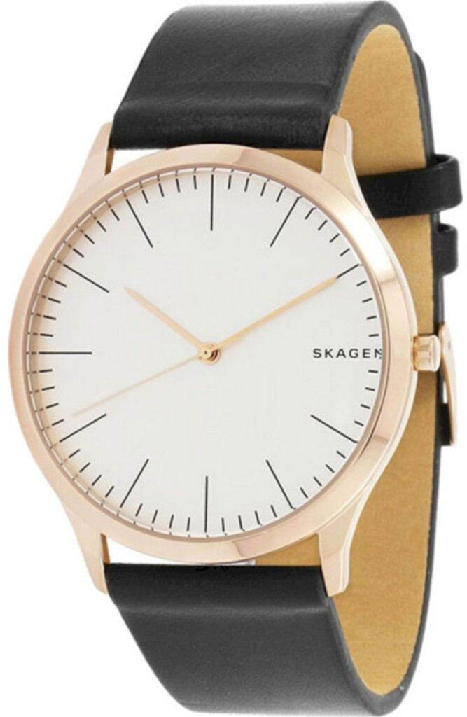 

Часы SKAGEN SKW1102, SKW1102